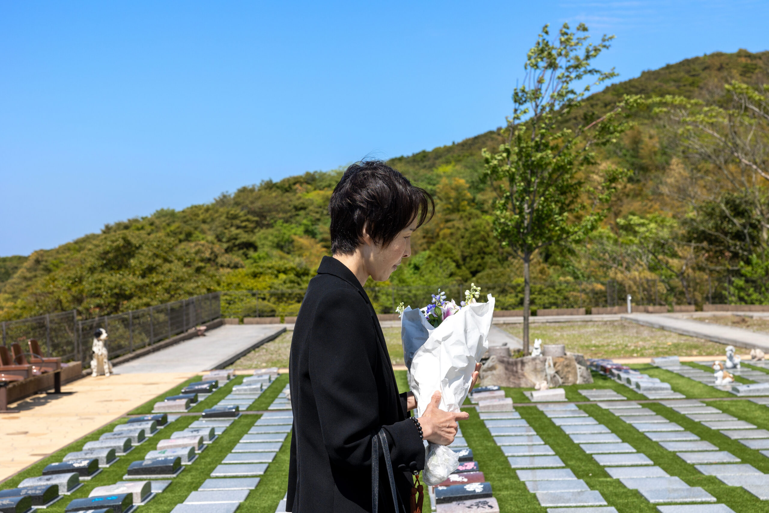 失敗しない樹木葬のお墓参り：基本からマナーまでを徹底解説