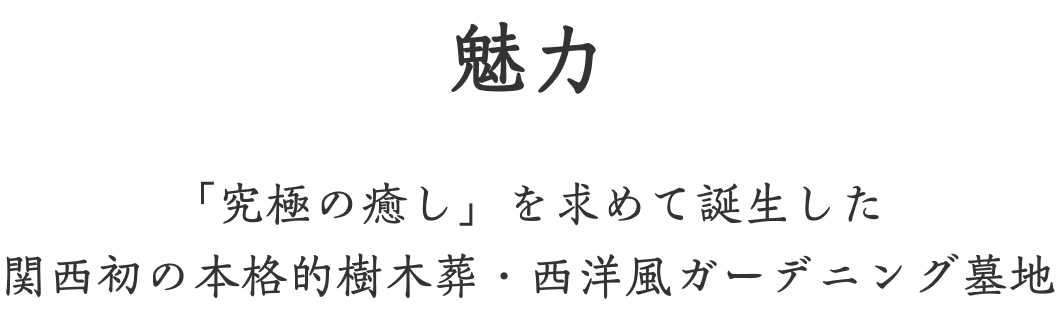 魅力