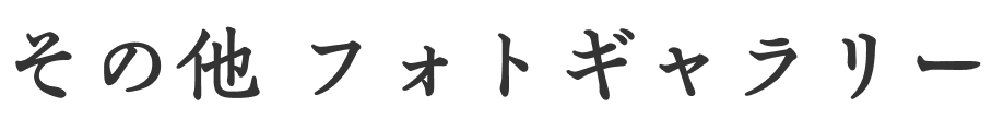 その他 フォトギャラリー